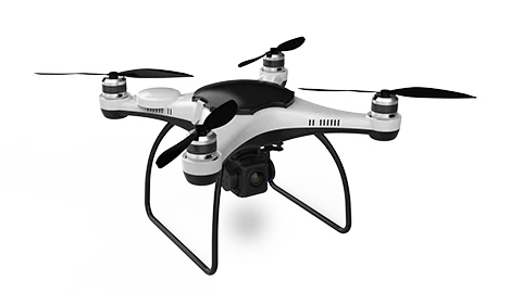 Beetle drone image