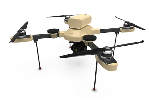 Panda drone image